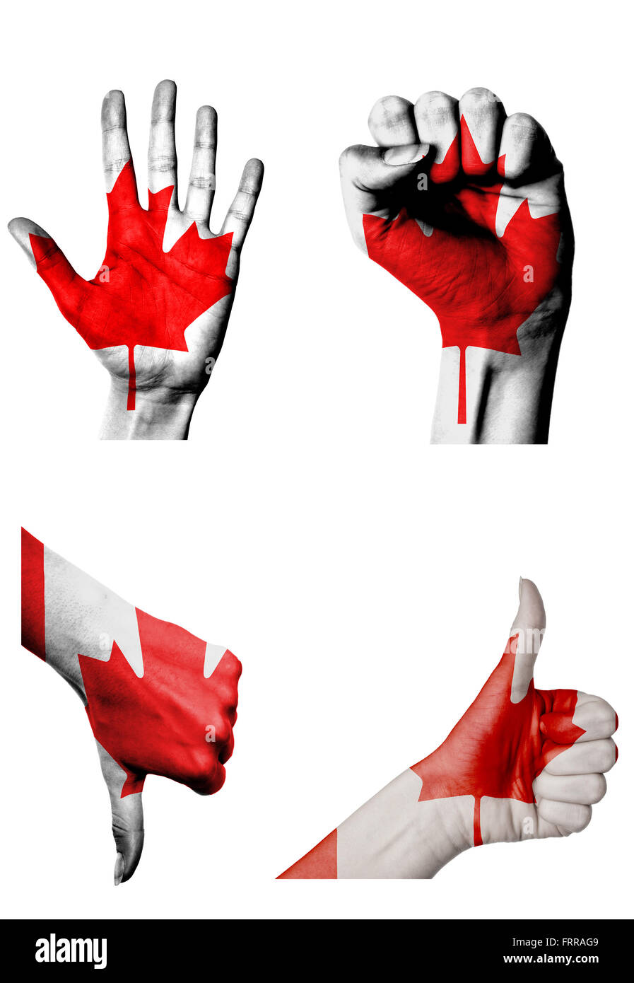 hands with multiple gestures (open palm, closed fist, thumbs up and