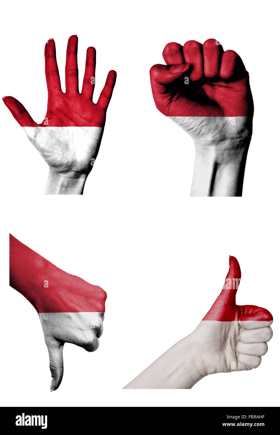 hands with multiple gestures (open palm, closed fist, thumbs up and