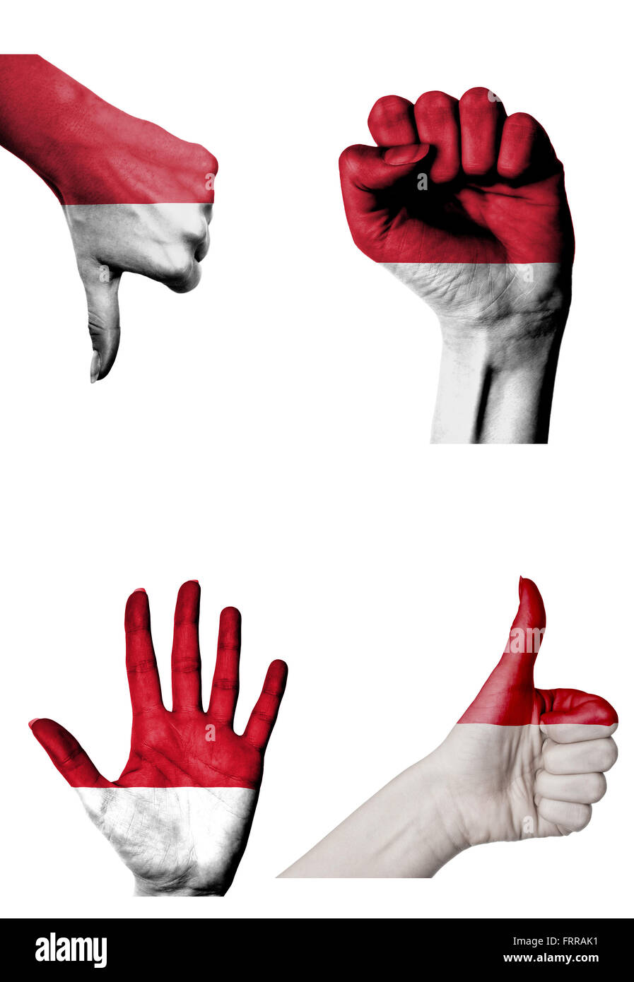 hands with multiple gestures (open palm, closed fist, thumbs up and ...