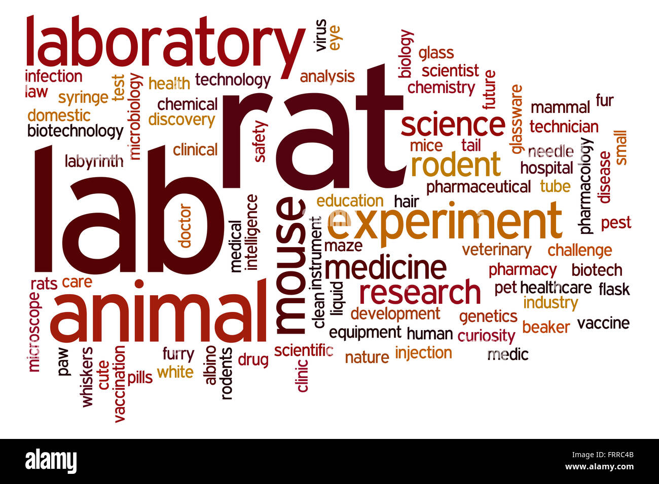 Lab rat concept word cloud background Stock Photo Alamy