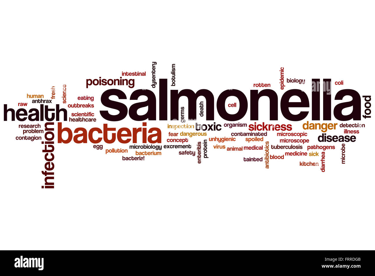 Salmonella word cloud concept Stock Photo Alamy