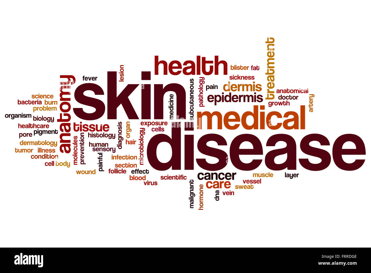 Skin disease word cloud concept Stock Photo