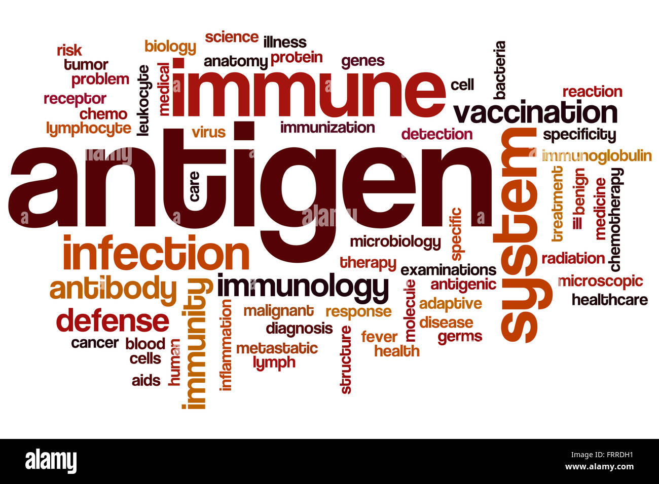 Antigen word cloud concept Stock Photo Alamy