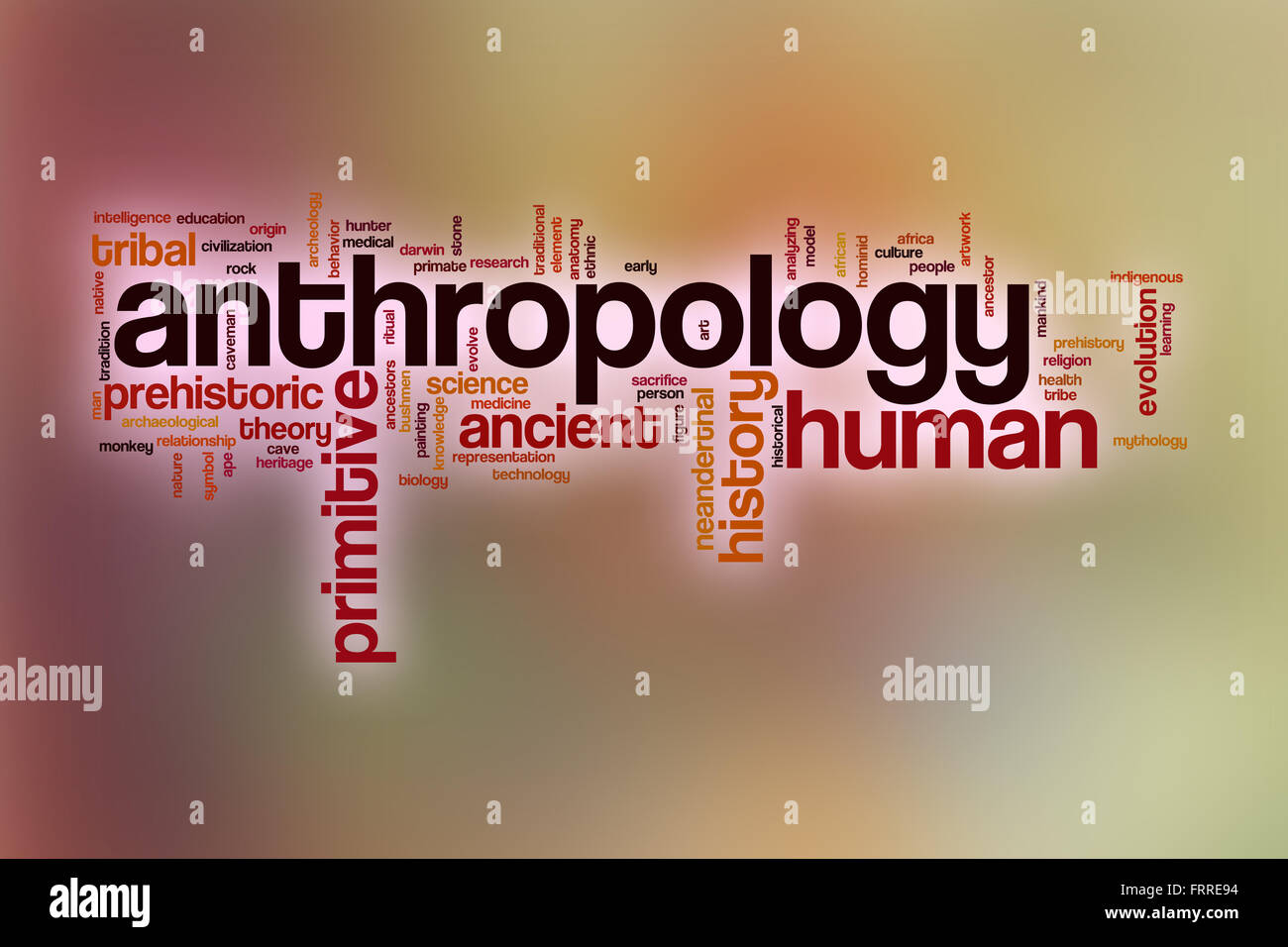 Anthropology Word Cloud Concept With Abstract Background Stock Photo 