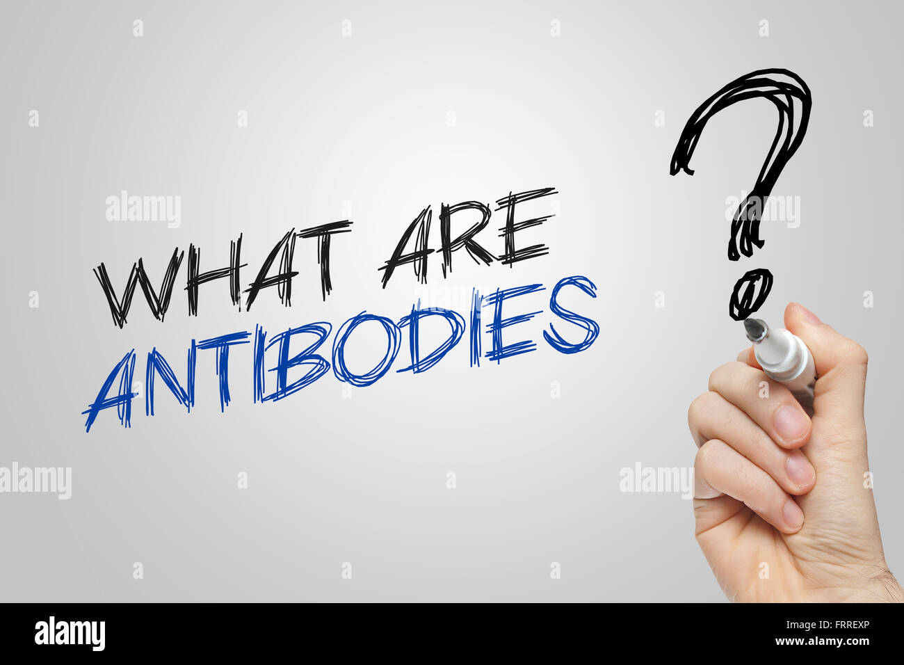 Hand writing what are antibodies on grey background Stock Photo