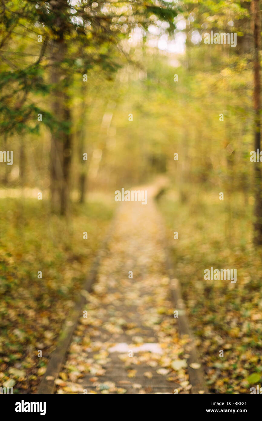 Blurred Boke Background Of Wooden Boarding Path Way Pathway In Autumn Forest Stock Photo Alamy