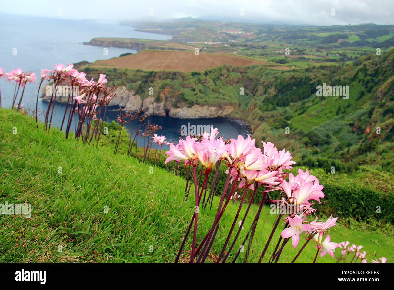 View of north coast of Sao Miguel island from Santa Iria view point near Ribeira Grande, Azores, Portugal Stock Photo