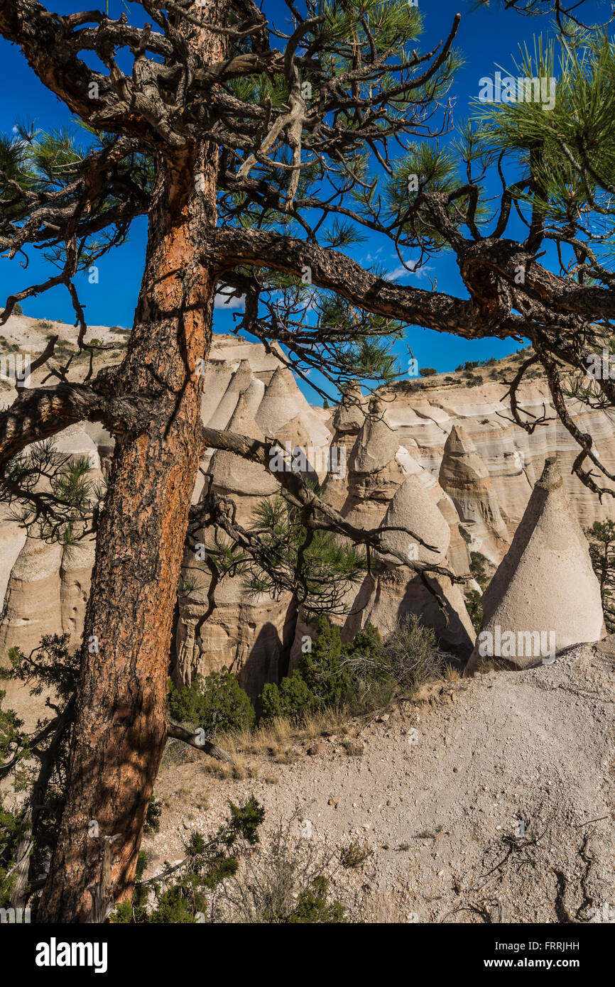 Landscape of cliffs and canyons viewed from the Slot Canyon Trail at Kasha-Katuwe Tent Rocks National Monument, New Mexico, USA Stock Photo