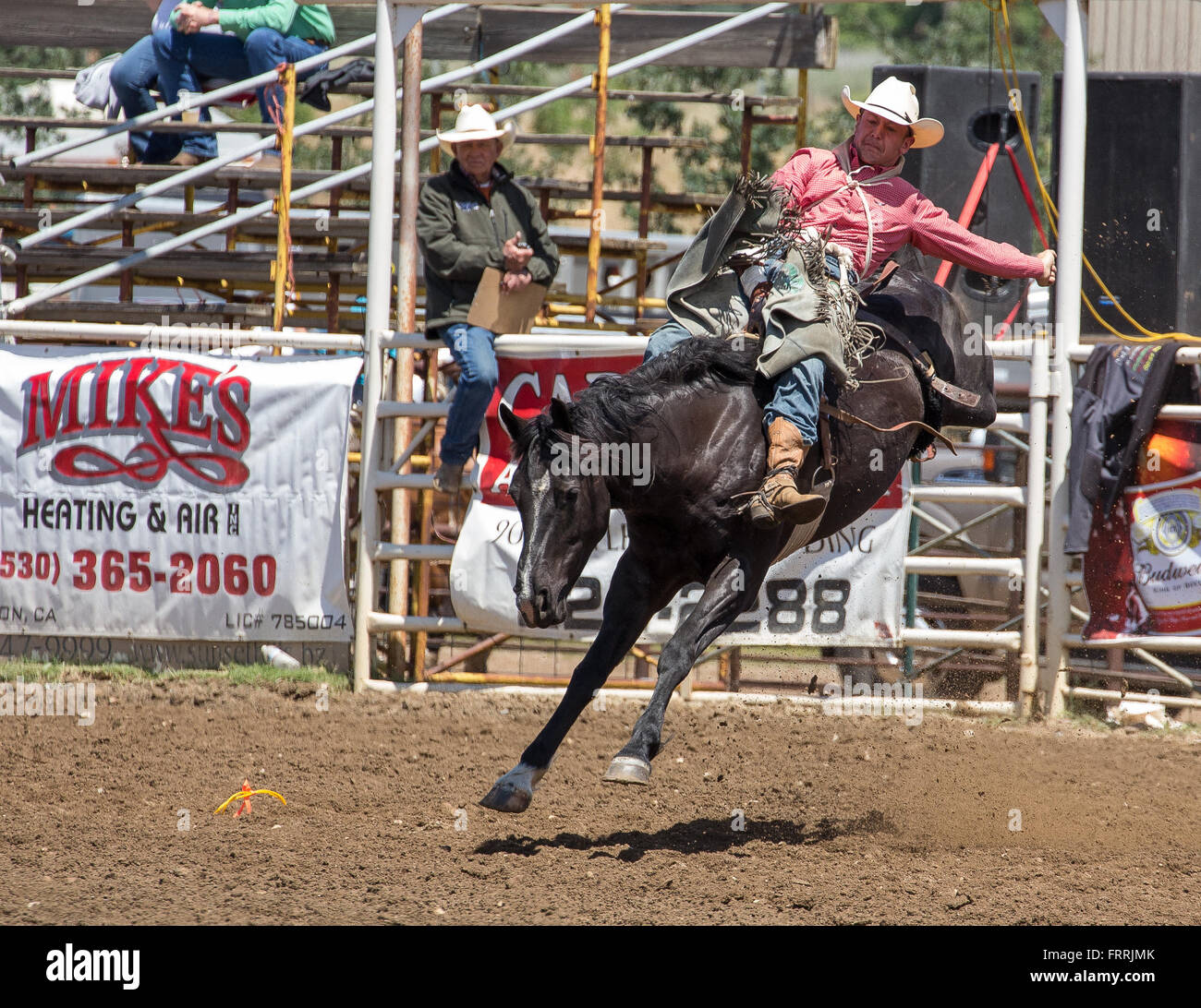 Bronco Rider High Resolution Stock Photography and Images - Alamy