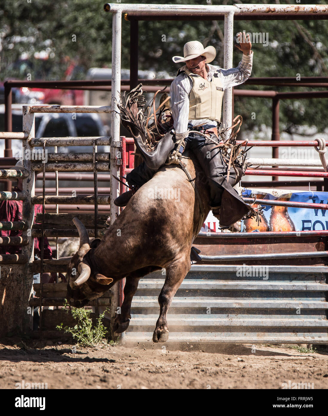 Bull rider in action at the Cottonwood, California Rodeo Stock Photo ...
