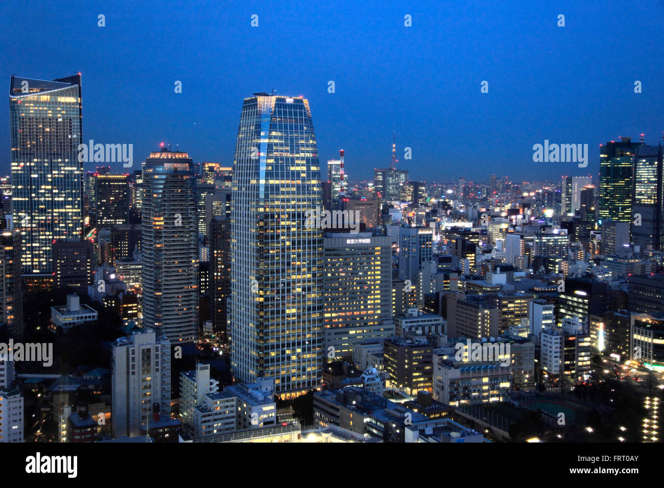 Japan, Tokyo, skyline, skyscrapers, panorama, Stock Photo