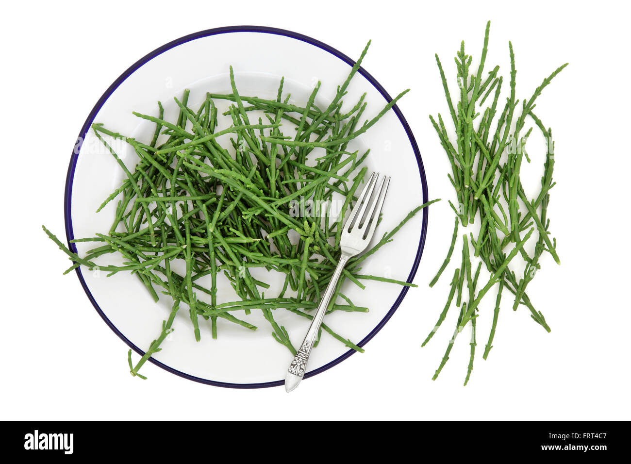 Rock samphire vegetable health food on a plate with silver fork and loose over white background. Salicornia  europaea. Stock Photo