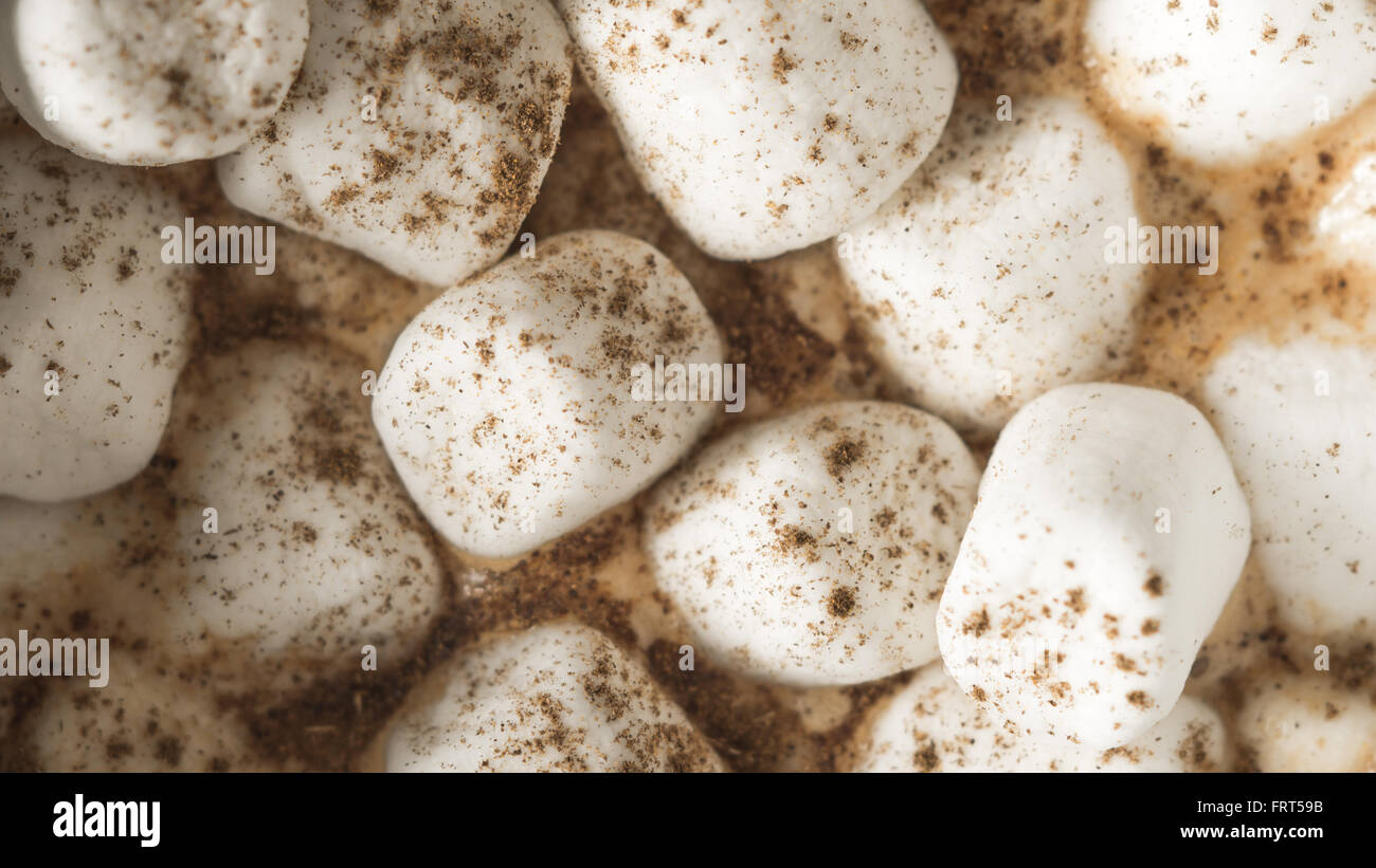 Cocoa with marshmallows background Stock Photo
