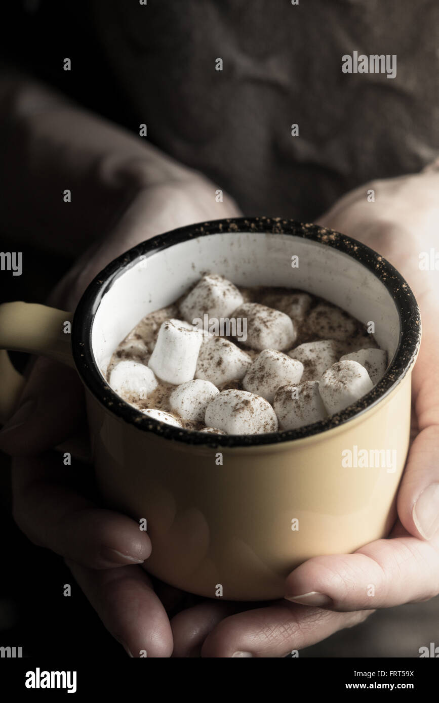 Cup of cocoa with marshmallows in the hand vertical Stock Photo