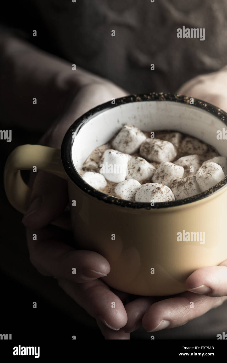 Cup of cocoa with marshmallows in the hand Stock Photo