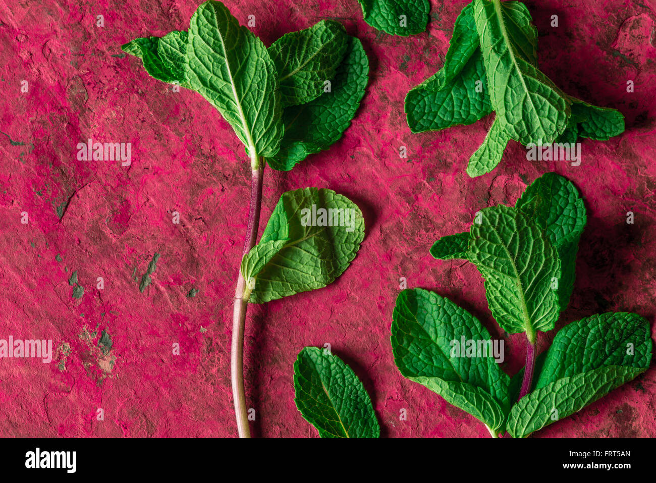 Mint sprigs on the pink stone background Stock Photo