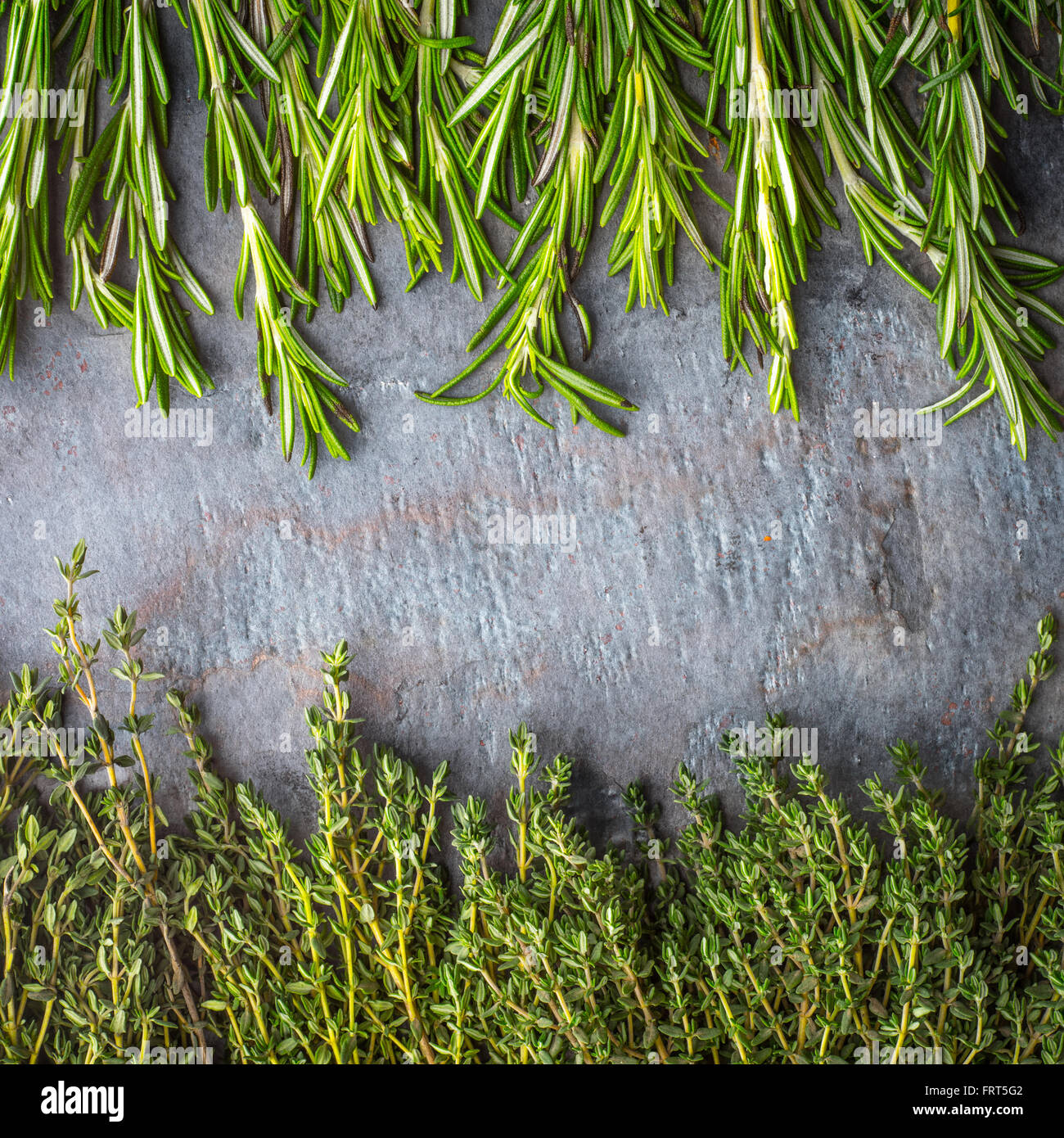 Thyme  and rosemary sprigs on the stone table square Stock Photo