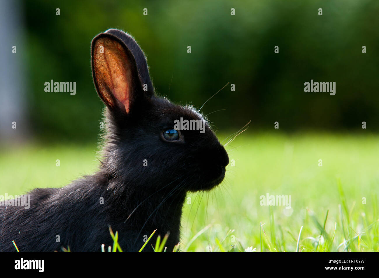 Anchorage campground hi-res stock photography and images - Alamy