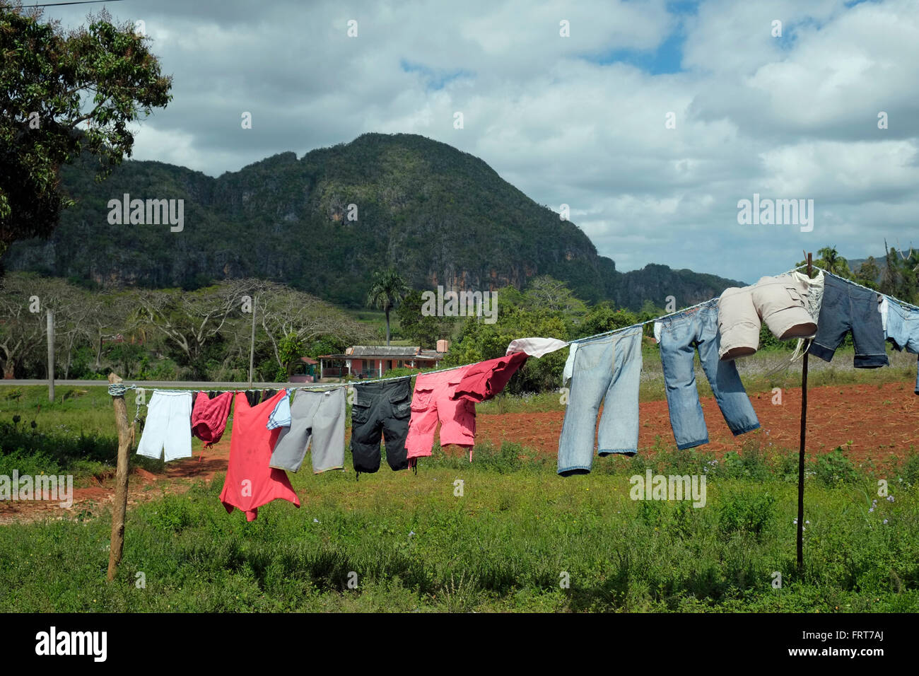Laundry drying in the Vinales valley, Cuba. Stock Photo