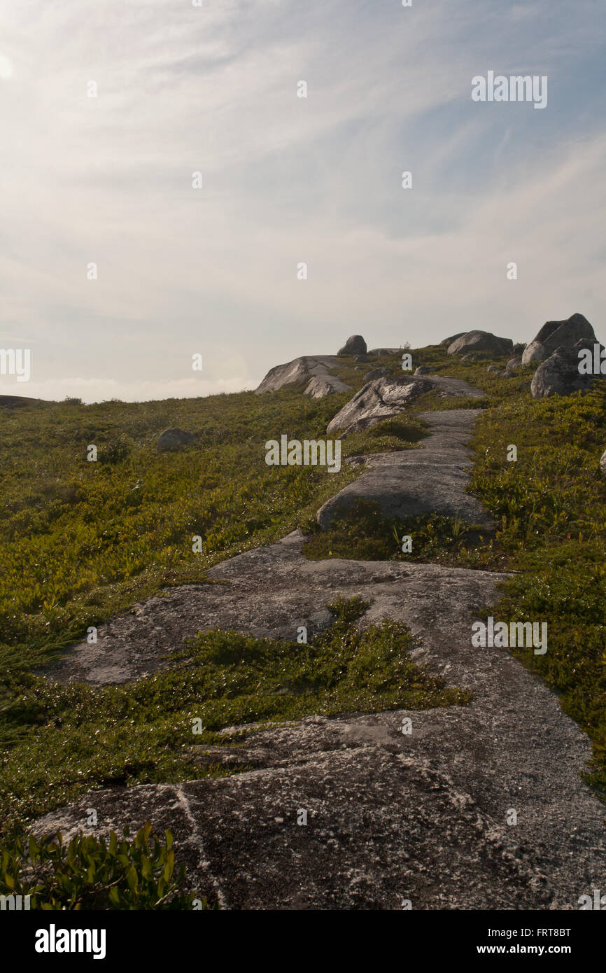 Chose the path to adventure, never know what will be on the other side. Stock Photo