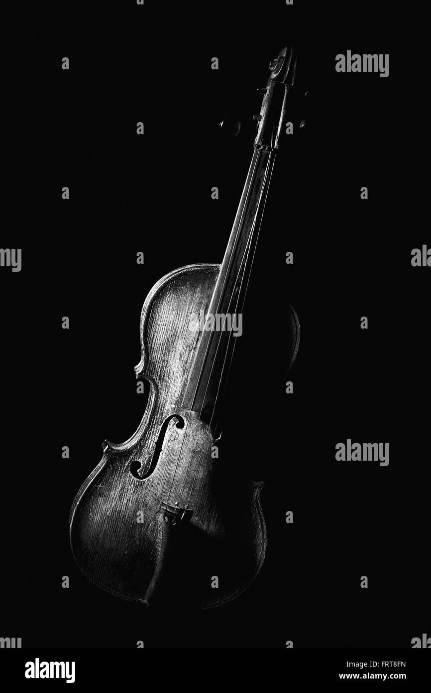 Vintage fiddle. Black and white. Stock Photo