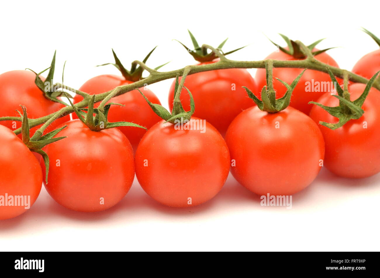 branch of fresh cherry tomatoes isolated on white background Stock ...