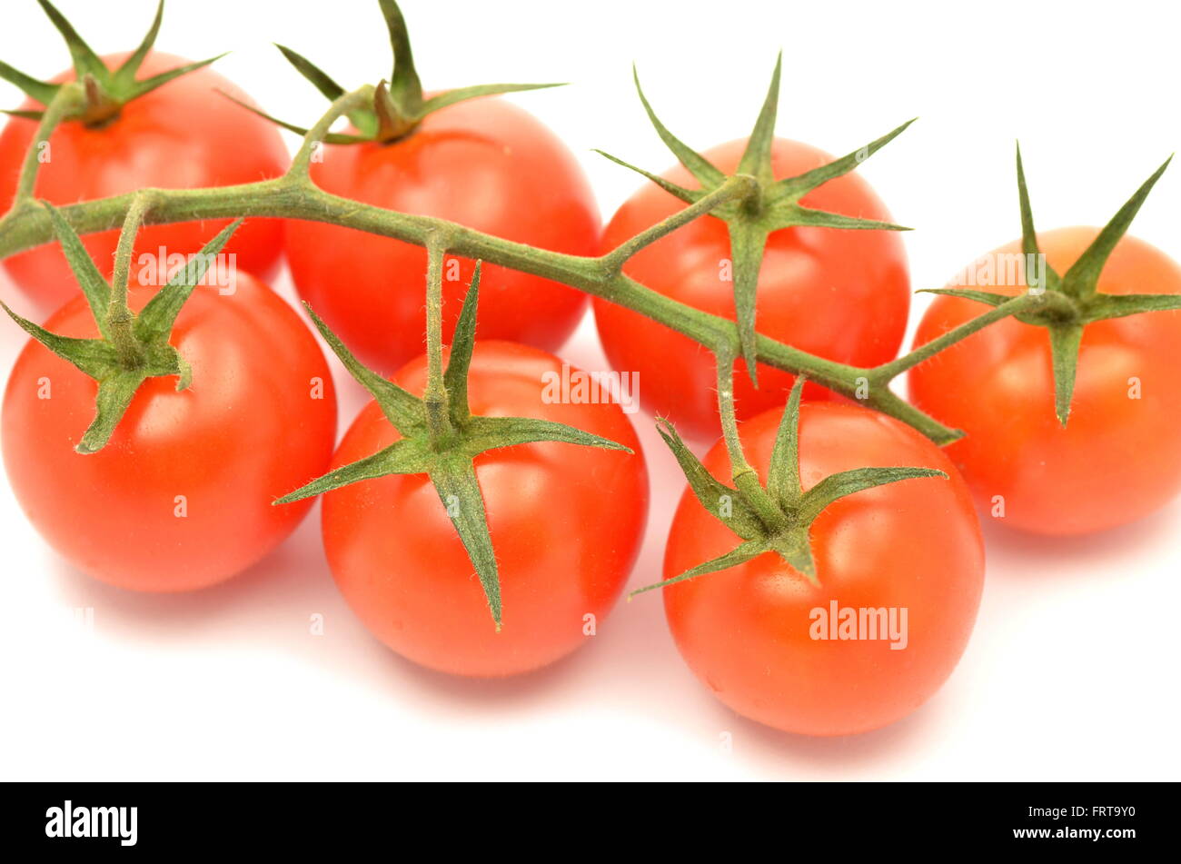branch of fresh cherry tomatoes isolated on white background Stock ...