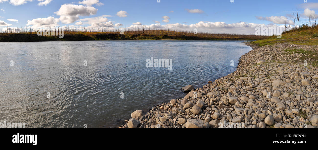 Noti Riber Panorama of North river. Summer landscape of the Taimyr river Fish ...