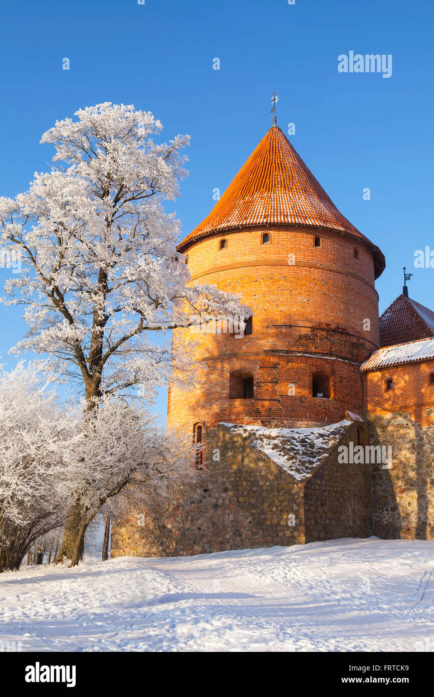 Trakai Island Castle in winter Stock Photo Alamy