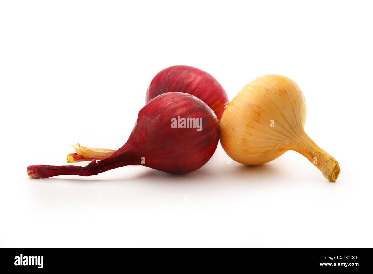 Onion in closeup isolated on the white background Stock Photo Alamy