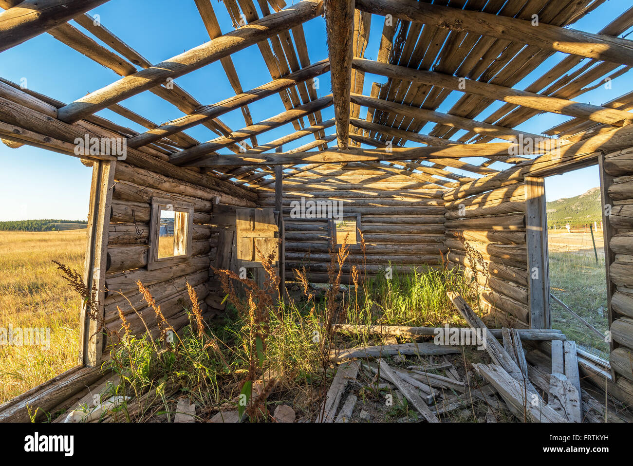 Abandoned homestead cabin in the Bighorn mountains near Buffalo