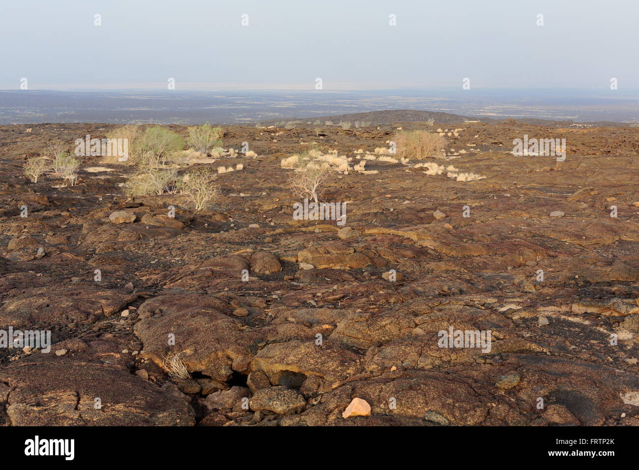 Volcanic dry barren land of the Danakil desert-tracks almost erased-way ...