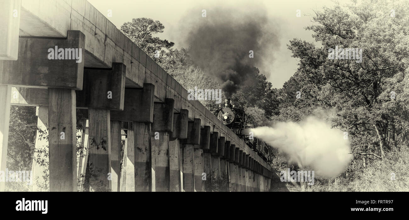Texas State Railroad Railfan Photo Train Ride crossing over Neches River between Rusk and Palestine, Texas. Stock Photo
