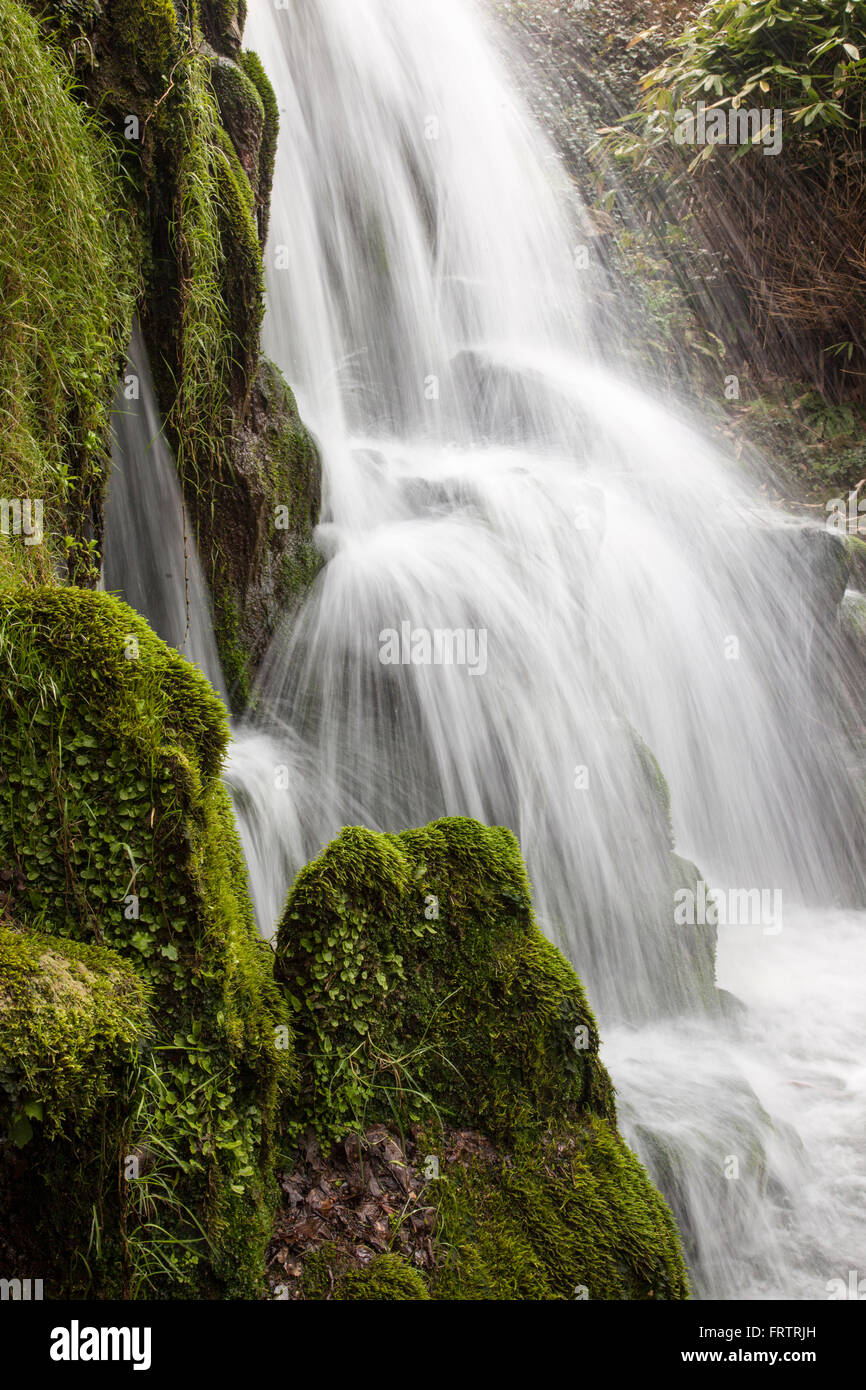 Hamiltons cascade waterfall hi-res stock photography and images - Alamy