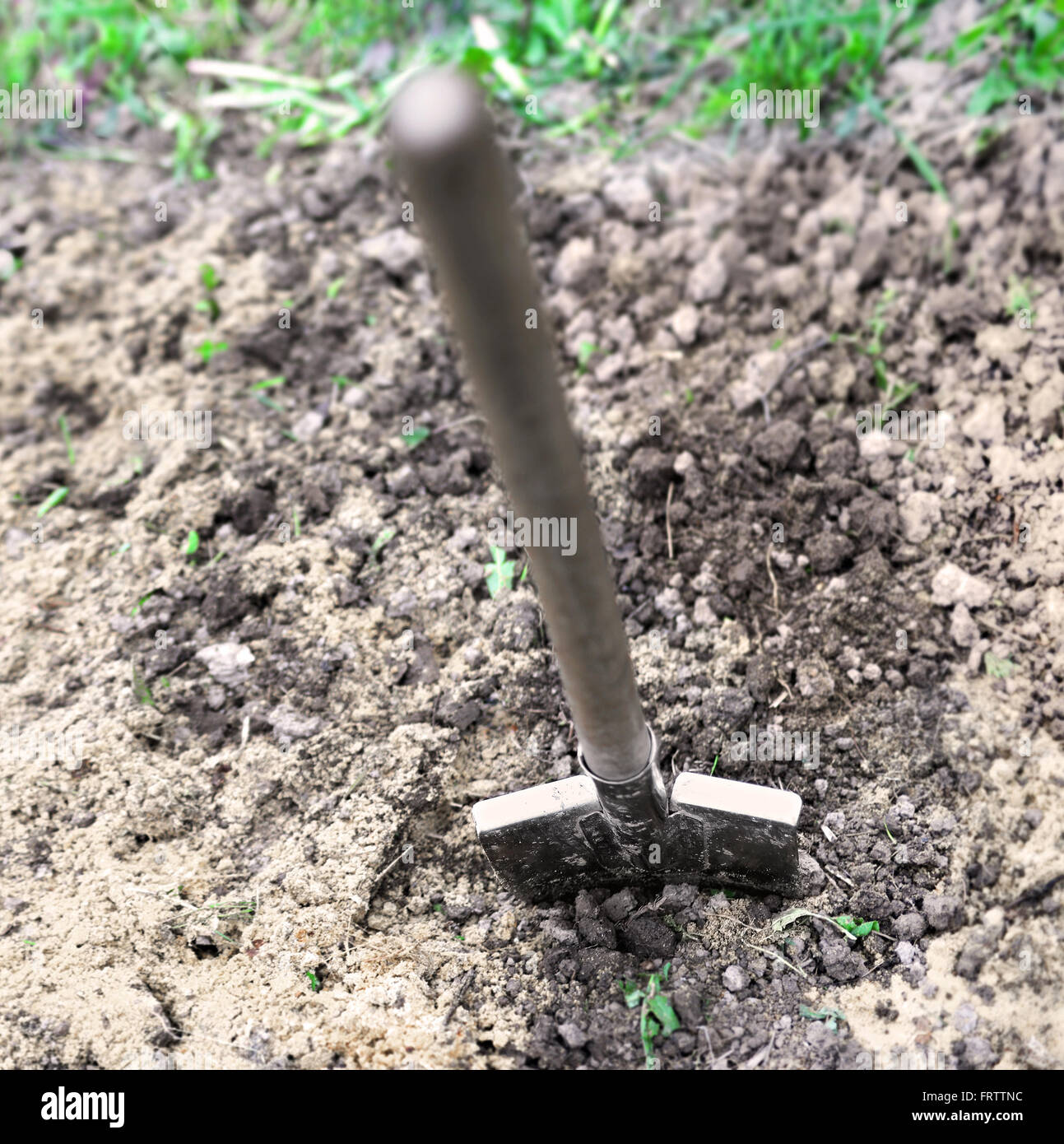 the spade in ground Stock Photo