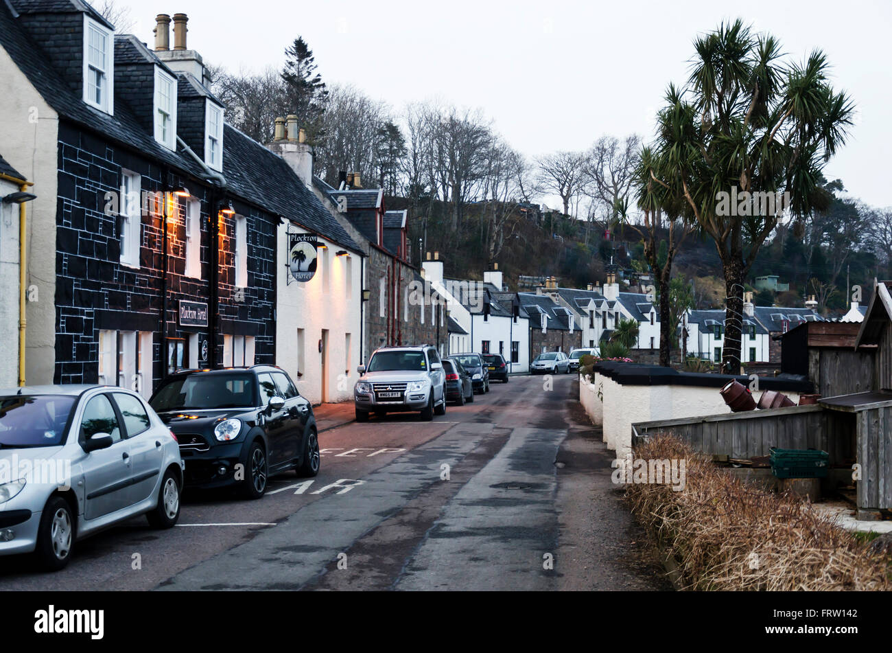 Palm trees growing on the main road in Plockton in the Western