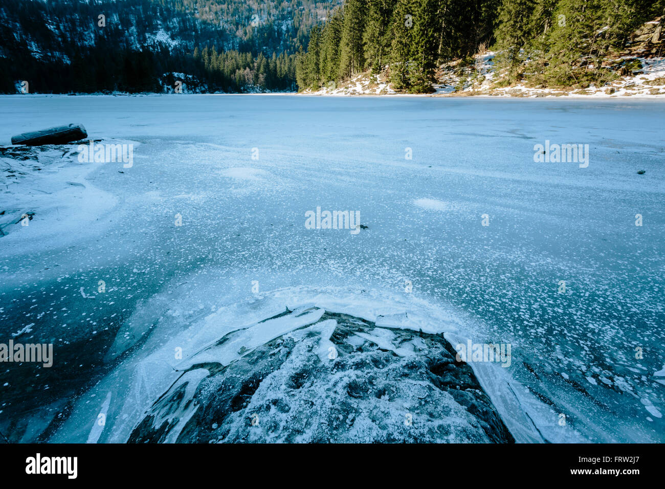Frozen lake forest hi-res stock photography and images - Alamy