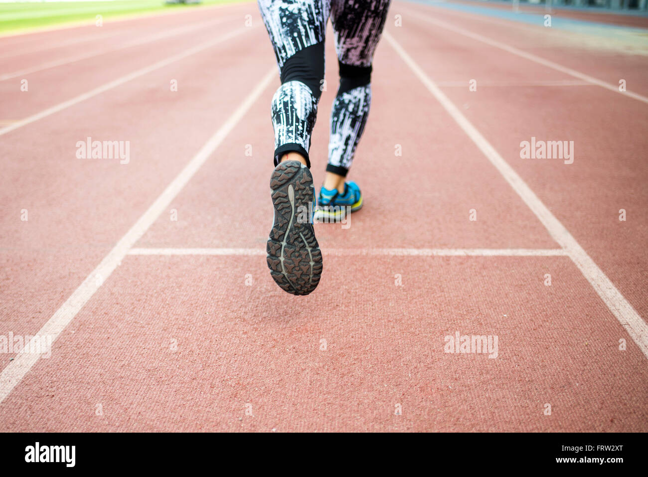 Female athlete training for race in stadium Stock Photo Alamy