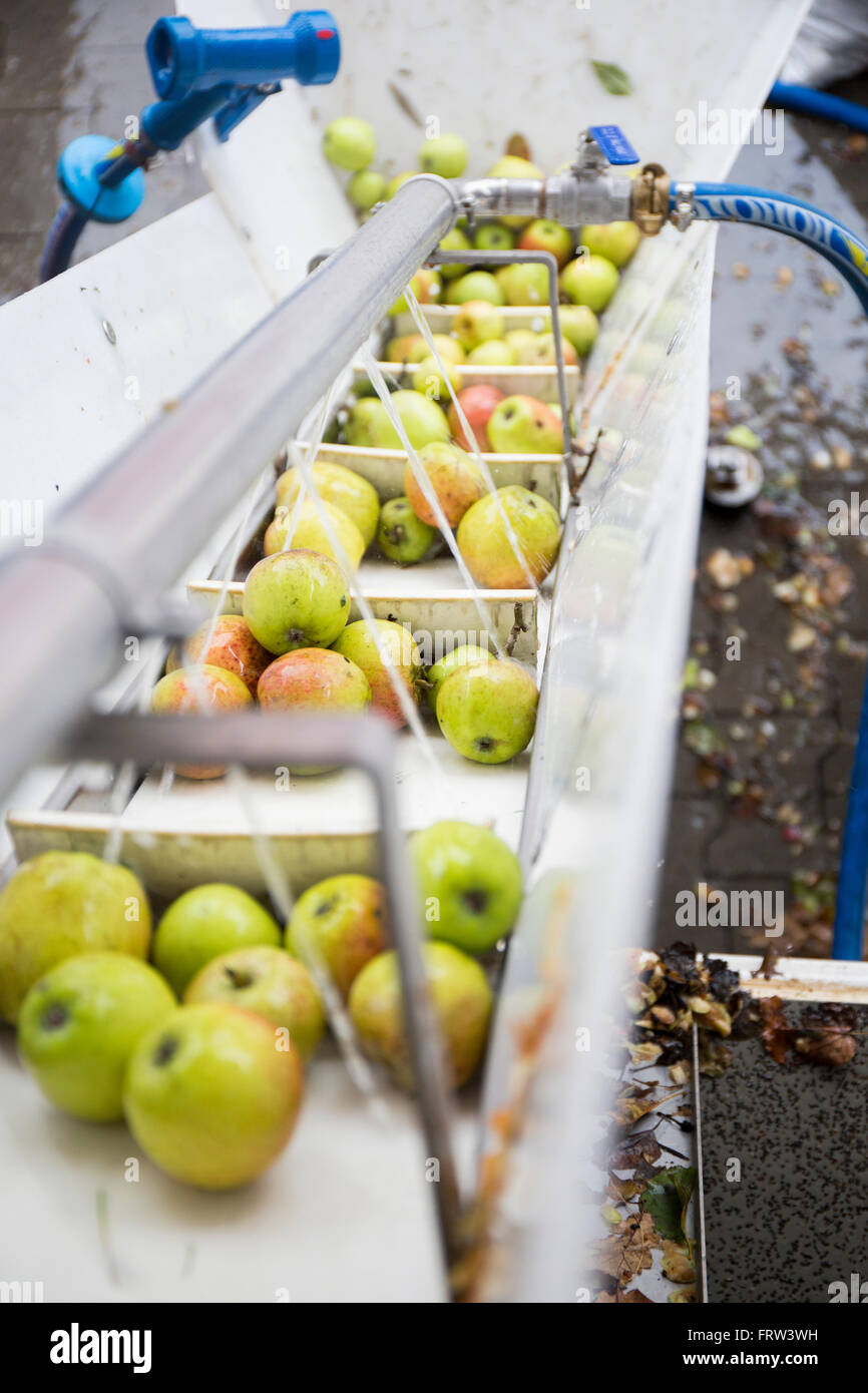 Holstein apples hires stock photography and images Alamy