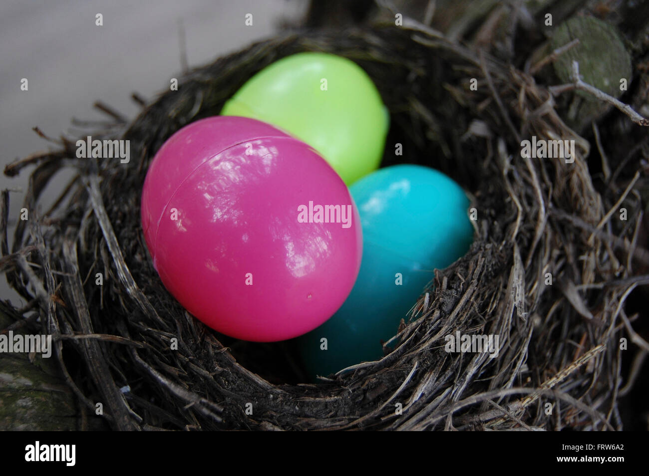 Easter eggs in a birds nest Stock Photo - Alamy