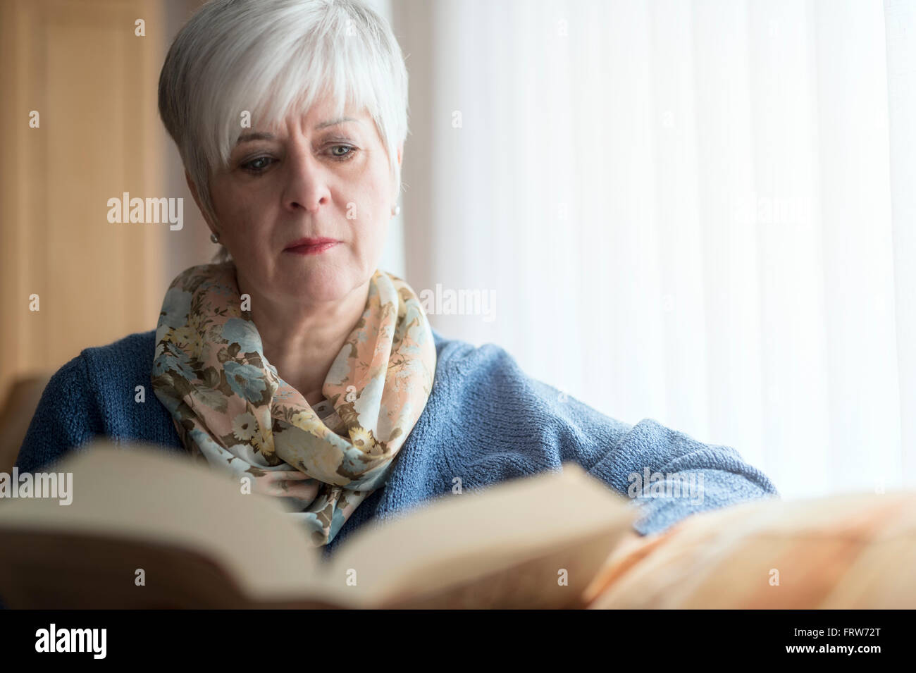 Portrait of senior woman sitting on the couch reading a book Stock ...