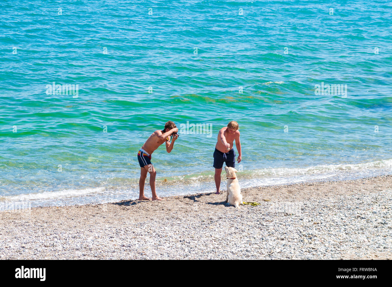 Two boys photographing labrador dog on beach in Novyi Svit, Crimea, Ukraine Stock Photo