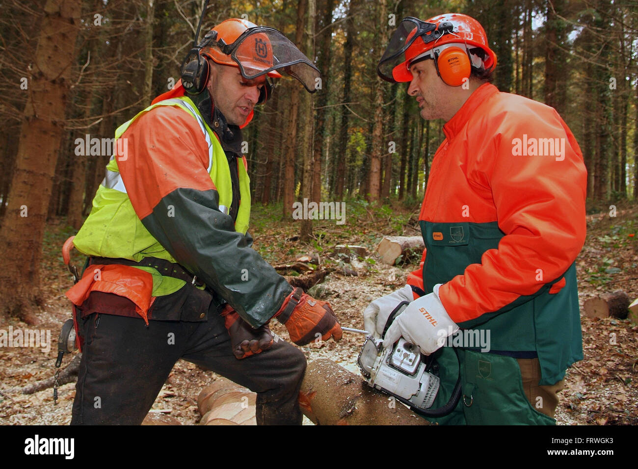 Chainsaw maintenance cross cutting course hi-res stock photography and ...