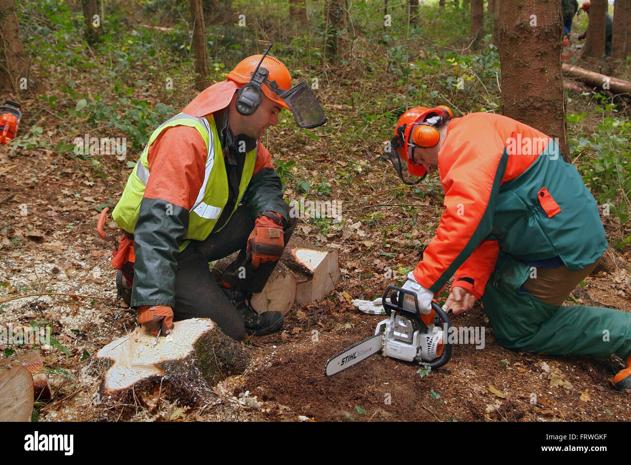 Chainsaw maintenance cross cutting course hi-res stock photography and ...