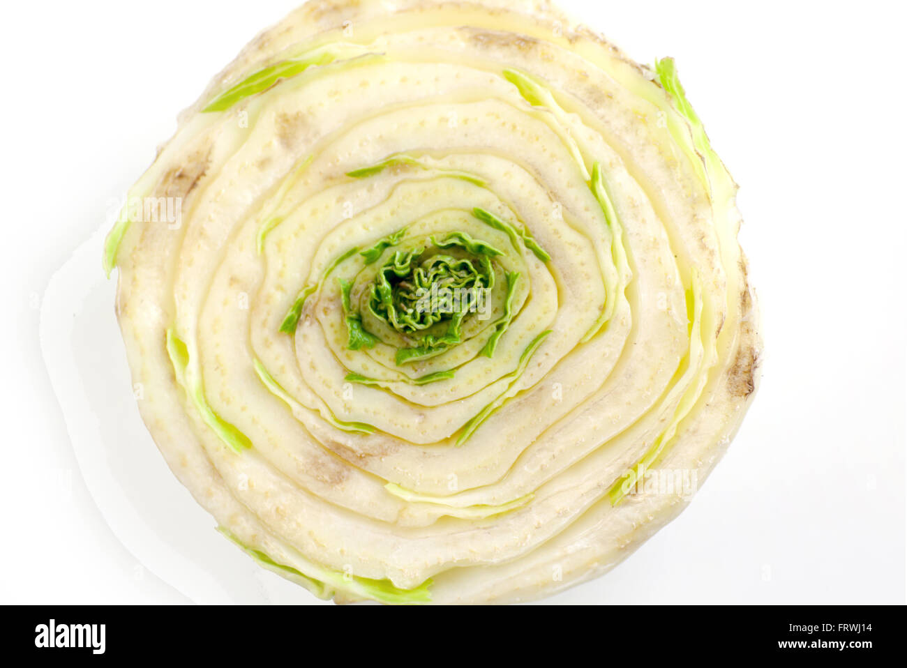 Chinese cabbage. Slicing vegetables edgewise and the germination of the crop. On white background. Stock Photo