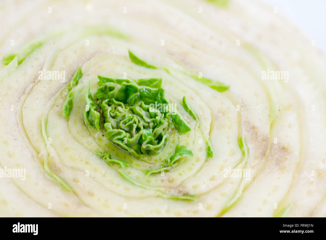 Chinese cabbage. Slicing vegetables edgewise and the germination of the crop Stock Photo Alamy