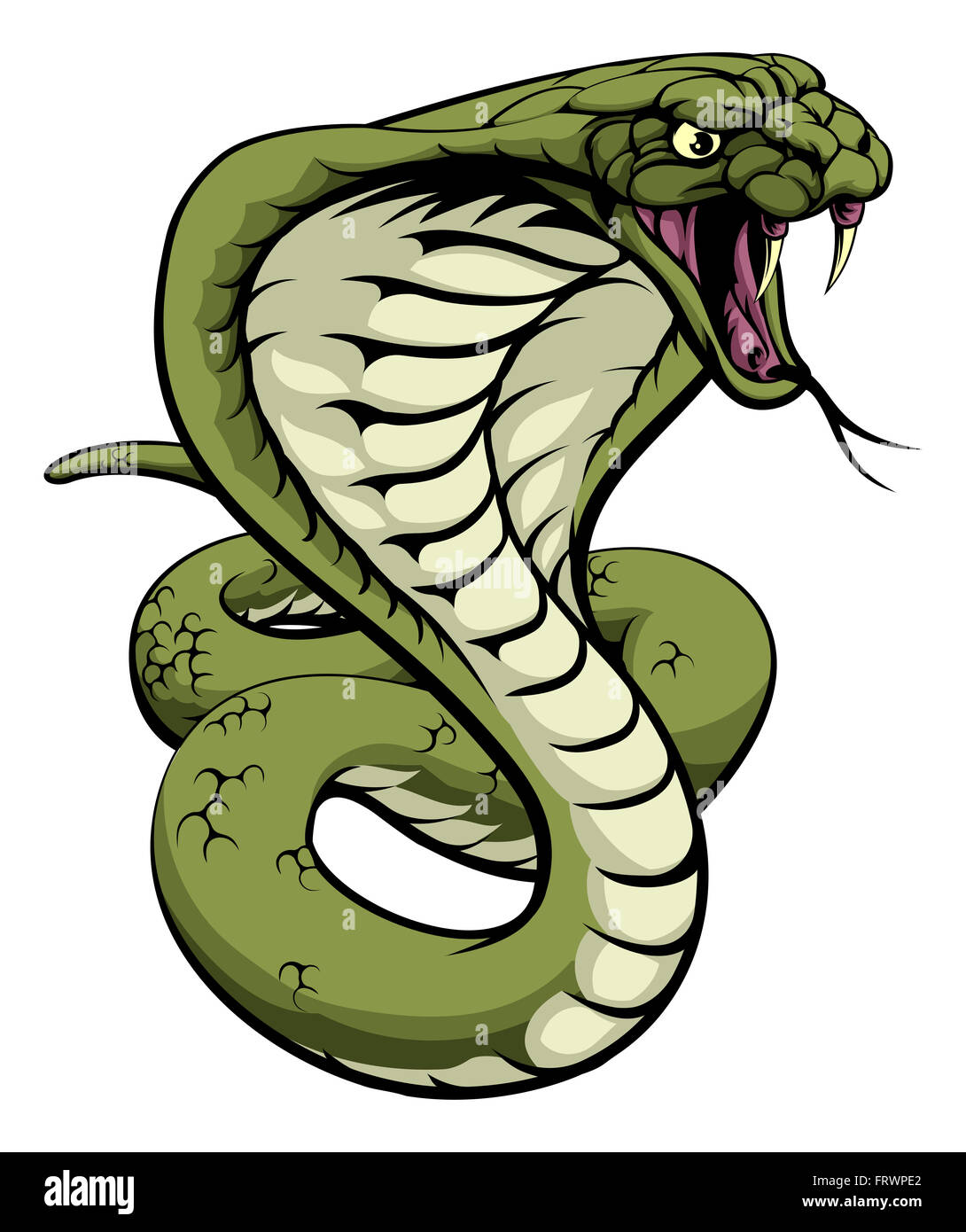 An illustration of a king cobra snake with hood out about to strike Stock Photo