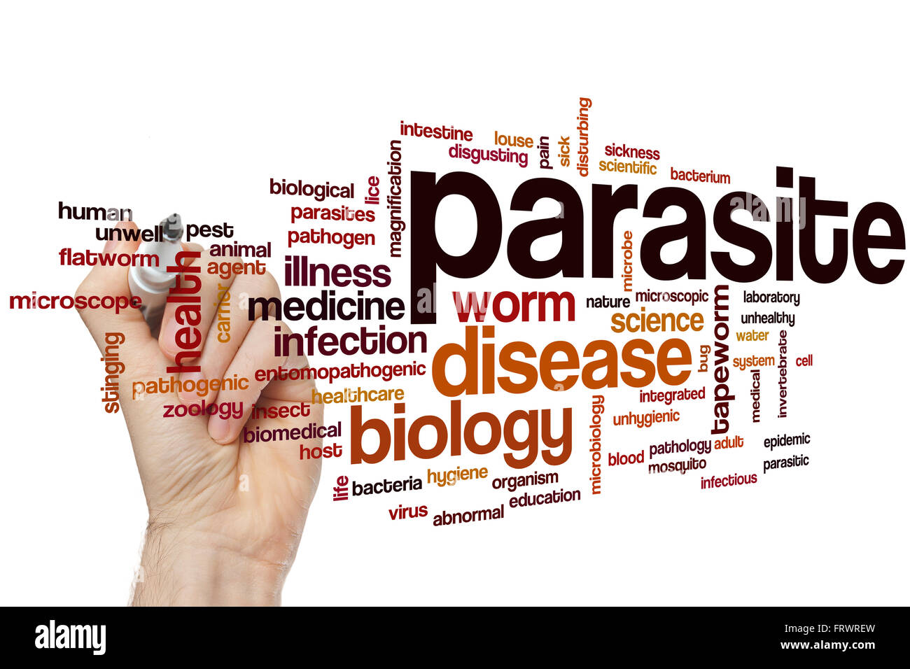 Parasite word cloud concept Stock Photo