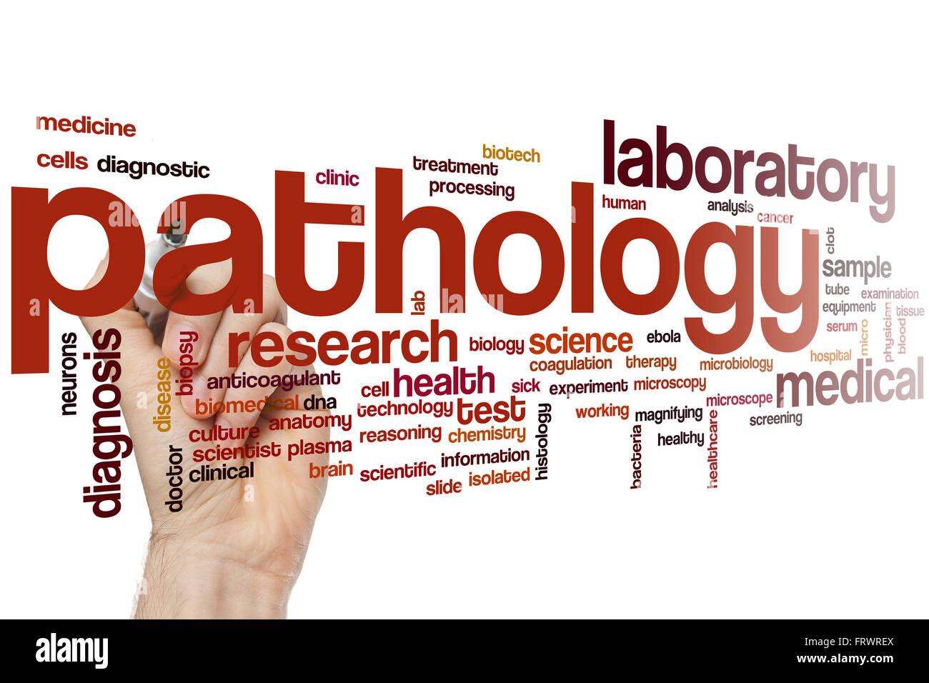 Webpathology.com: A Collection of Surgical Pathology Images