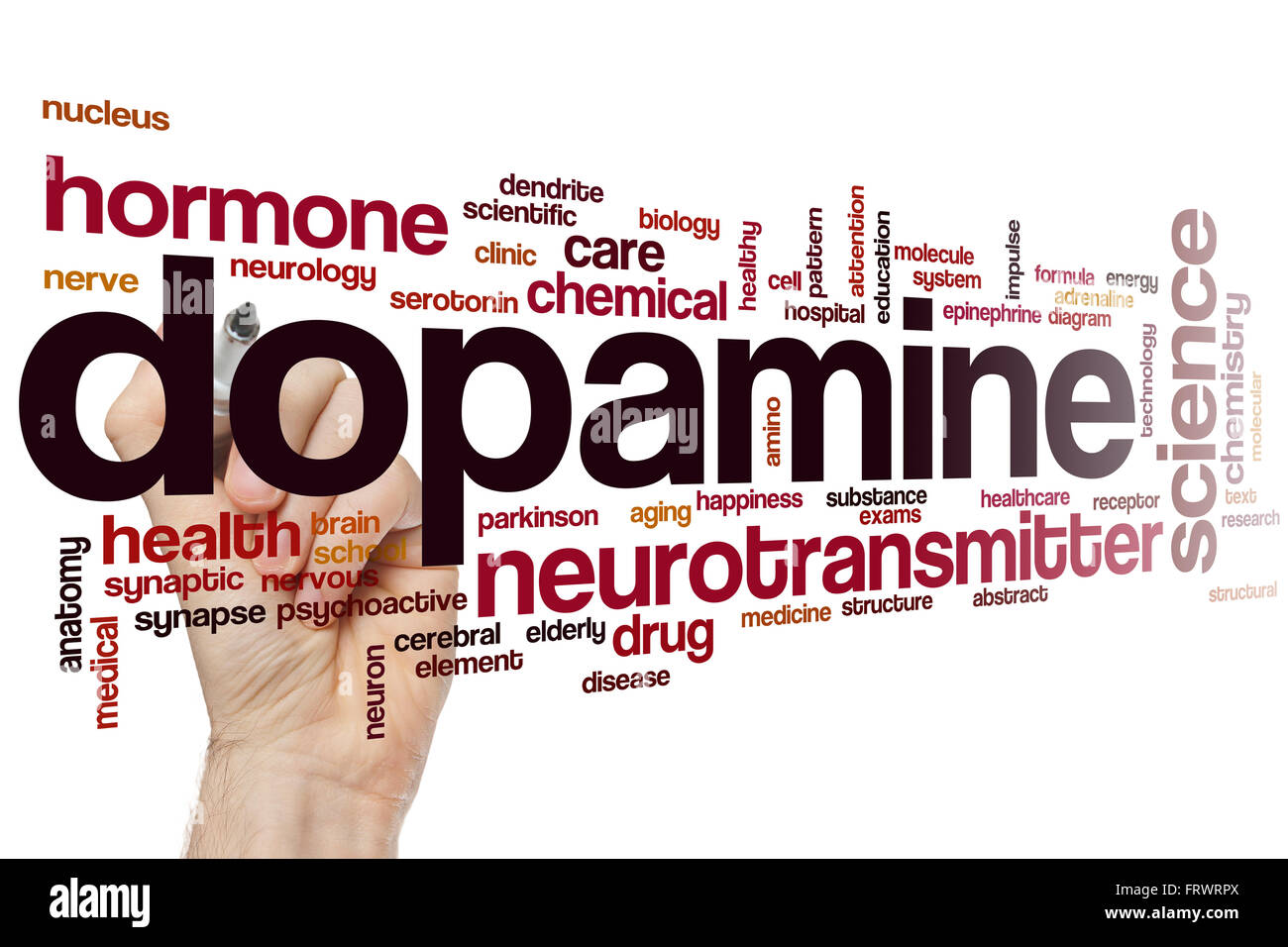 Dopamine word cloud concept Stock Photo